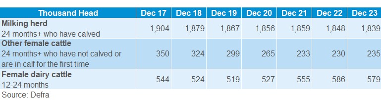 UK cow numbers table Dec 2023 